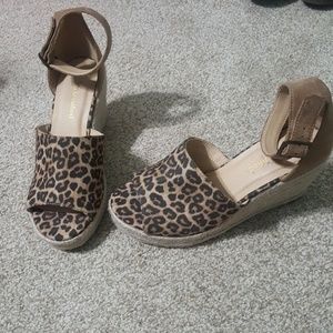 Leopard wedge